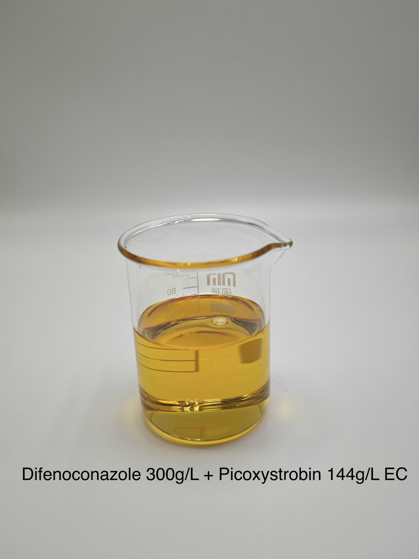 Difenoconazole 300g/L + Picoxystrobin 144g/L EC 